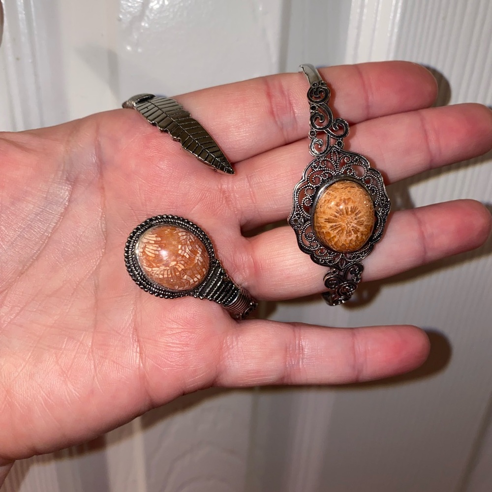 Bohemian Fossilized Coral in Agate Steel/Alloy Metal Bangle Set